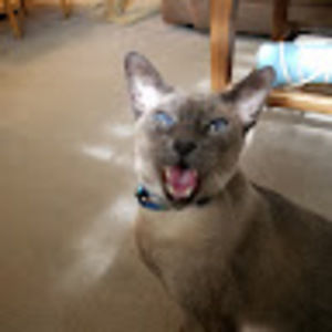 Meet your Posher, Barb